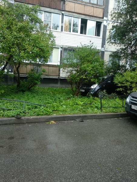 Во время парковки во дворе дома 27.к.1 на улице Здоровцева женщина на Ниссане перепутала педали и с ...