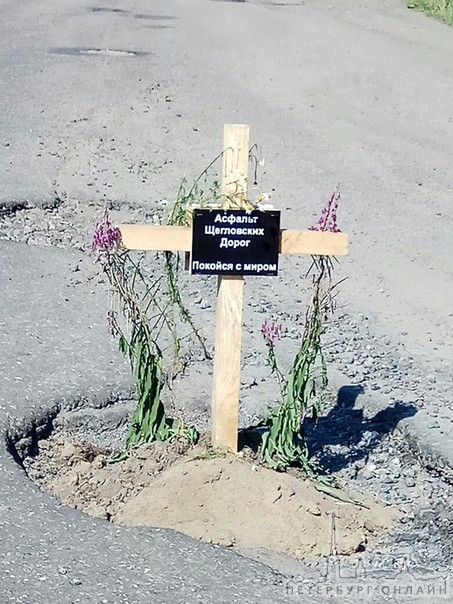 В деревне Щеглово Всеволожского района похоронили асфальт
