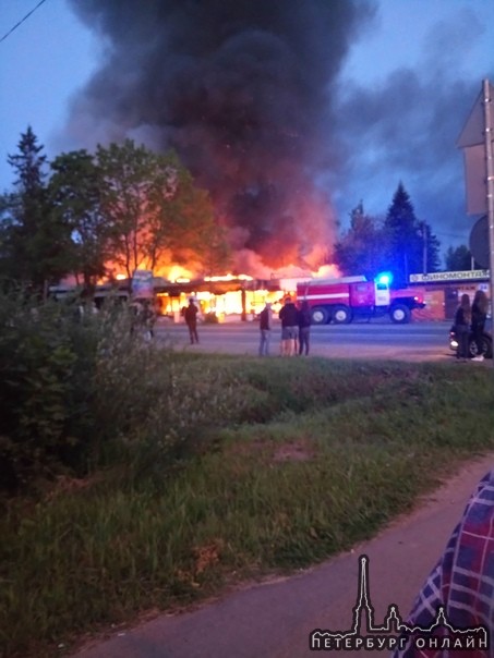 В д.Агалатово, горит магазин и Кафе Шаверма24 Сообщение пожаре поступило в 02:50 К месту выехал дежу...