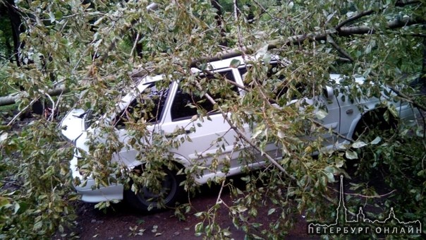 На Орджоникидзе д. 37 упало дерево на машину.