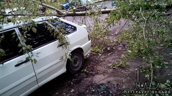 На Орджоникидзе д. 37 упало дерево на машину.