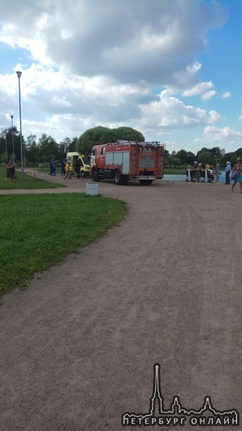 Труп в Полюстровском парке, утонул.