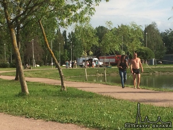 Труп в Полюстровском парке, утонул.