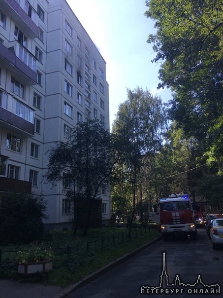Горела квартира на улице Брянцева 2к1 в 7 парадной. Пожарные оперативно потушили.