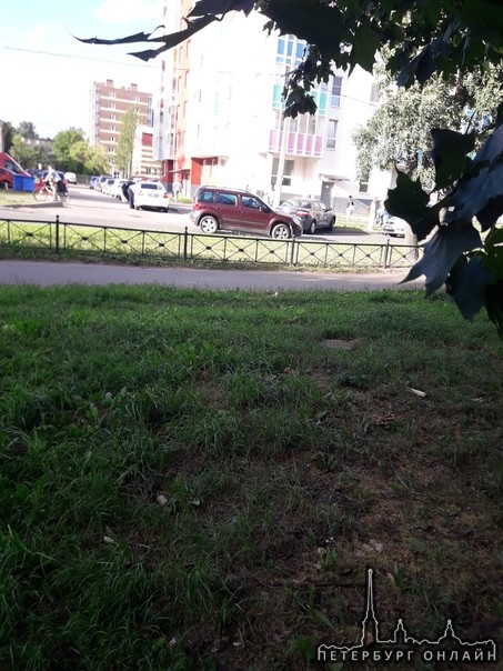 В г.Колпино на Павловской улице произошло серьёзное ДТП, столкнулись Mercedes и Renault.