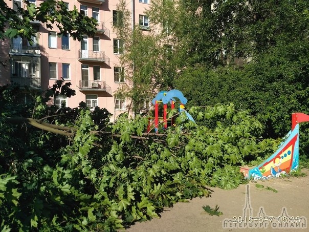 Упало дерево на детскую площадку недалеко от детского сада угол Новочеркасского и Рижской