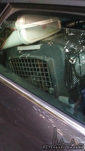 Одна из наших подписчиц обнаружила запертых в машине животных.