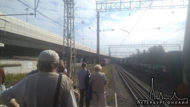 На Ржевке сломался товарный поезд, перекрыл движение электричкам из СПБ в сторону области. Движение ...