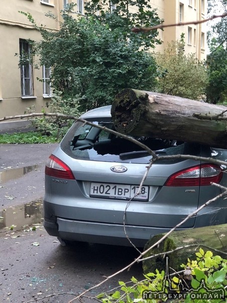 На Ольги Берггольц внезапно перекрылось деревом движение и припаркованный автомобиль.