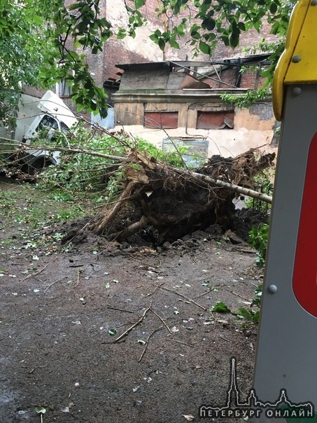 На улице «Писарева» дом 6/8 упало дерево из-за ветра на газель!