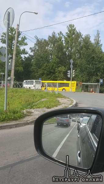 Маршрутка пыталась отбить пассажиров у автобуса напротив ленты в Парголово (Выборгское шоссе)