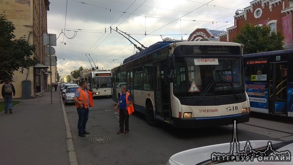 На Кондратьевском 24 Поло задел Эвок,