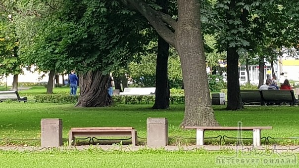 В пруду Сампсониевского сада нашли труп. Полиция, пожарные и скорая пытаются вытащить его из воды