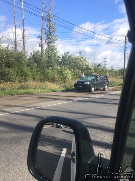 Въезд в Колпино, авто накрыло деревом!