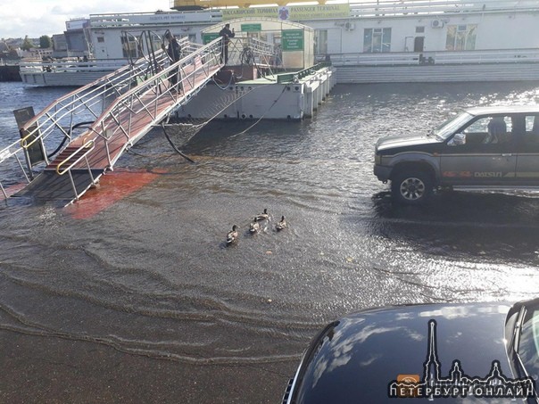 Набережные Санкт-Петербурга затопило из-за сильного ветра