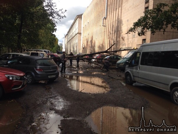 На Гомельской улице упало дерево. Пострадали 3 авто. Не проехать никому, ни легковушкам, ни тем боле...