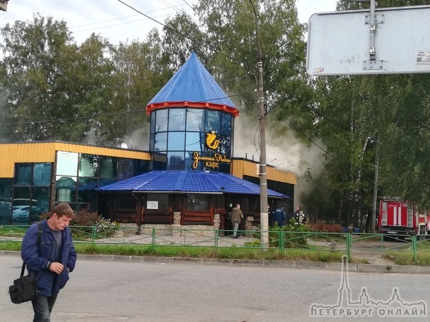 Пожар в кафе Золотая рыбка в городе Кировске ЛО