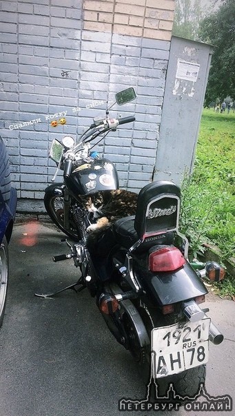 3 октября в промежутке от 16.15 до 21.45 с проспекта Художников от д.29.к.1 был угнан мотоцикл Honda...