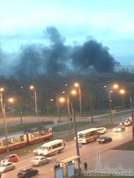 Пожар в Полижаевском парке на Маршала Жукова
