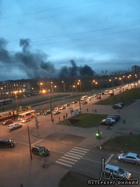Пожар в Полижаевском парке на Маршала Жукова