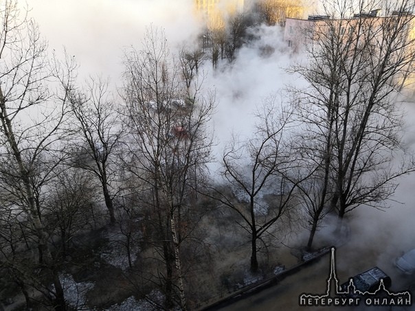 На Бухарестской 78,во дворе прорвало трубу с горячей водой, все машины в воде. В доме горячей воды н...