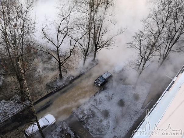 На Бухарестской 78,во дворе прорвало трубу с горячей водой, все машины в воде. В доме горячей воды н...