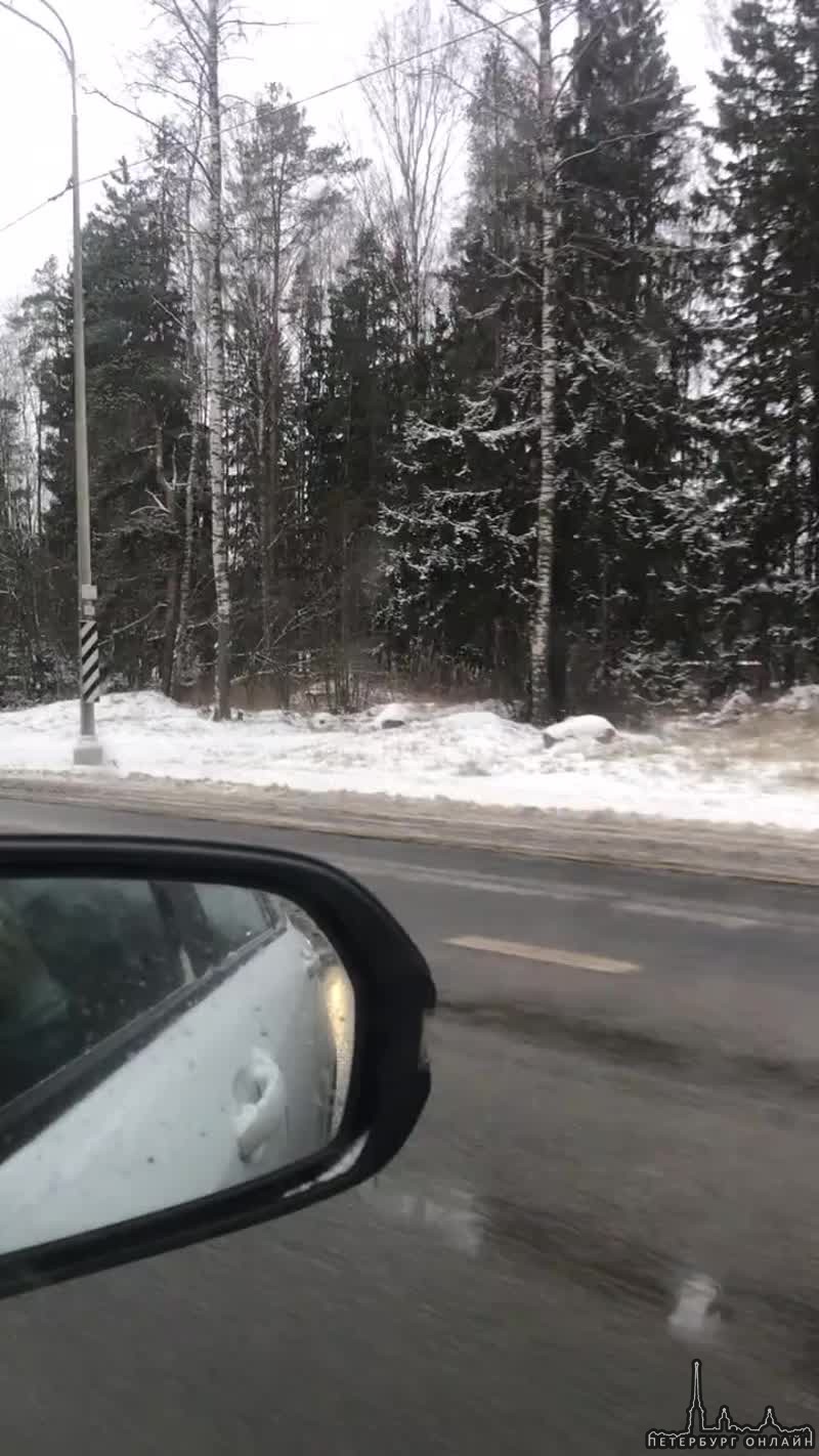 На Мурманском шоссе Е 105 Лазурное озеро, в сторону Санкт-Петербурга, машина Mazda 3 , врезалась в с...