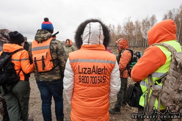 К поиску пропавших петербуржцев подключатся водители Яндекс.Такси