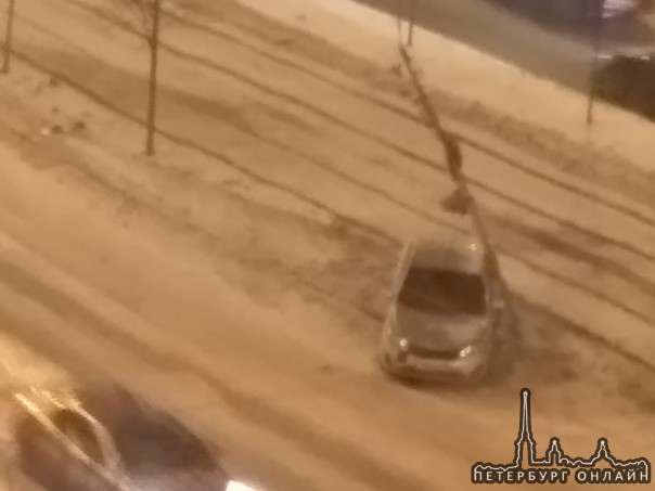 На Московском проспекте напротив графа Орлова стоит машина на аварийках, сверху лежит дерево, которо...
