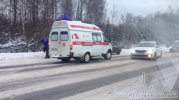 7 км Токсовского шоссе (напротив АЗС Газпромнефть) неадекватный водитель (назвался Денисом) прыгал и...