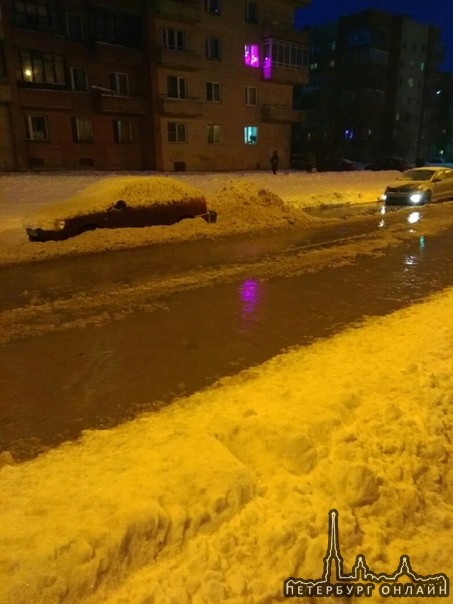 Чебышевская улица в Петергофе вся в воде, прорвало трубу, дорогу не перейти, по ней бежит бурный руч...