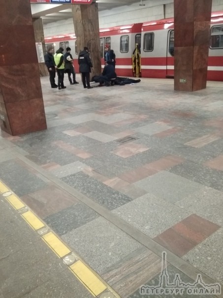 На станции Ленинский проспект по направлению в Девяткино под поезд попал мужчина.
