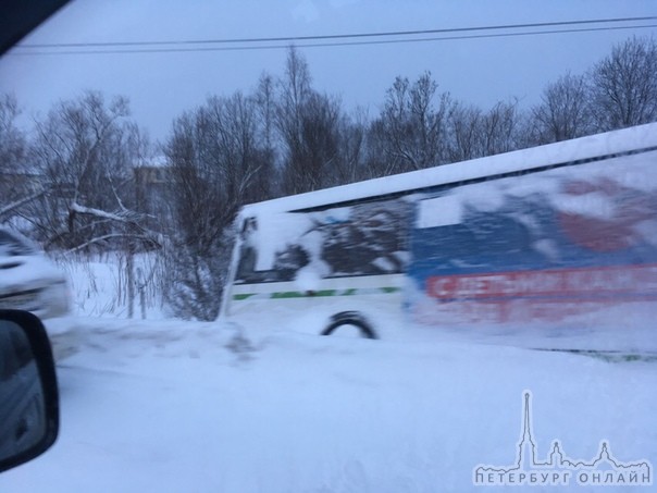 На Пушкинском шоссе, перед Красным Селом, автобус в кювете