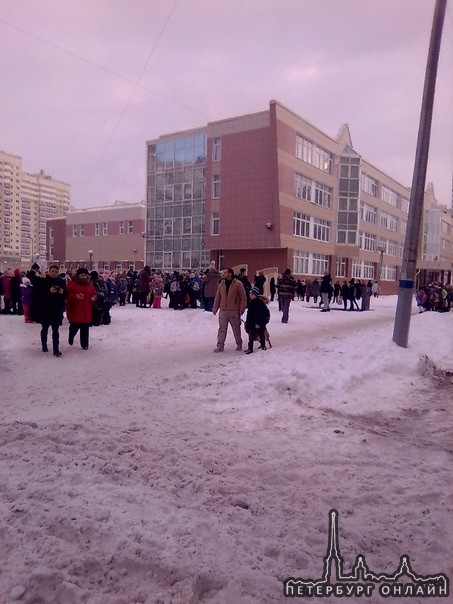 Младшая и средняя школа номер 291 Красносельского района срочно эвакуированы из-за сообщения об опас...