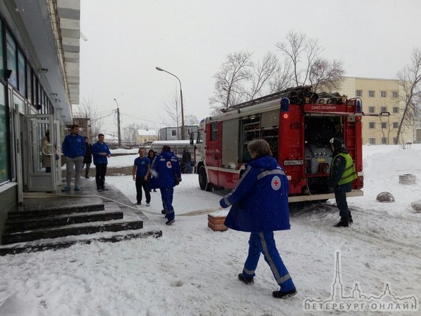 К Дельфинарию съехались пожарные