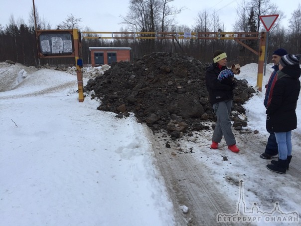 Левашовское шоссе у п. Горская.