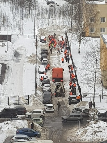 В Осиновой роще флешмоб по уборке снега. Столько людей и техники в совокупности за всю зиму здесь не...