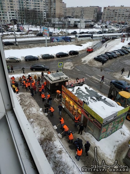 Петербургских чиновников обязали принять участие в субботнике 9 февраля. Информация о том, что нужно...