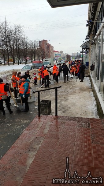 Петербургских чиновников обязали принять участие в субботнике 9 февраля. Информация о том, что нужно...