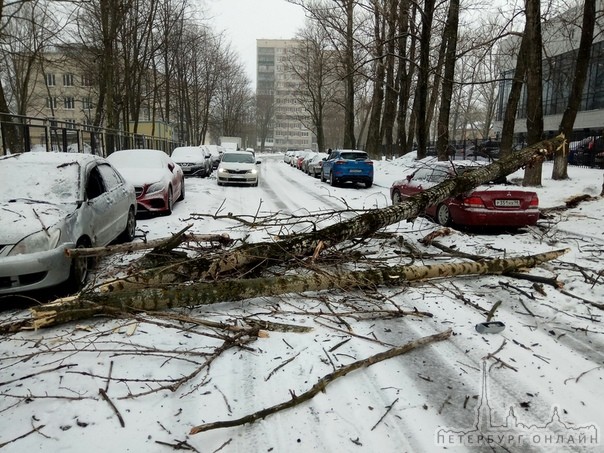 В Невском районе,ул. Леснозаводская. Что натворил сильный ветер.