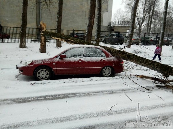 В Невском районе,ул. Леснозаводская. Что натворил сильный ветер.