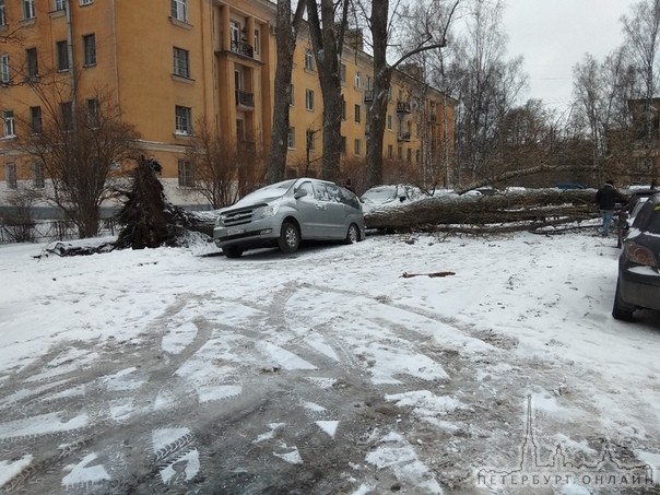 На Тихорецком у дома 9 дерево упало и 4 машины сильно разбило