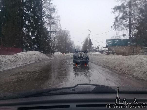 На дороге между поселком Репино и поселком Ленинское прямо перед поворотом в луже лежит Фокус 2