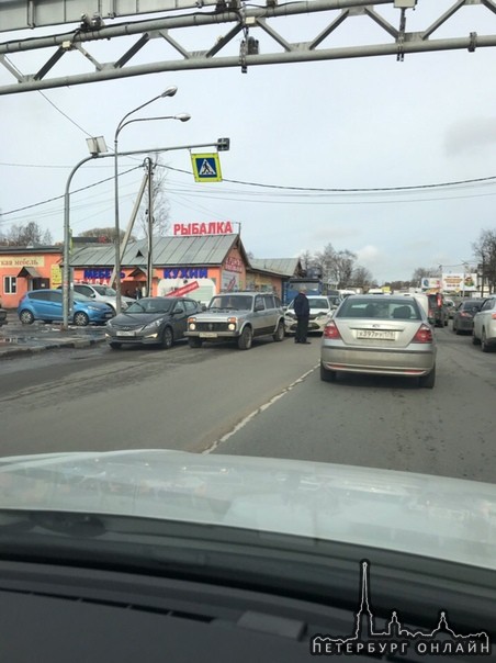 В городе Мурино по Центральной улице перед пешеходным переходом, как обычно.