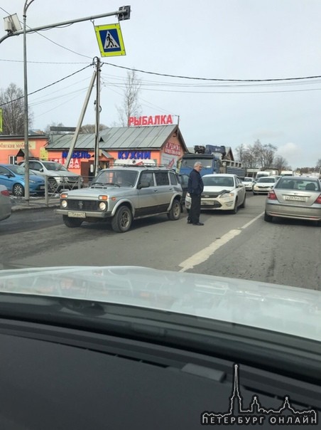 В городе Мурино по Центральной улице перед пешеходным переходом, как обычно.