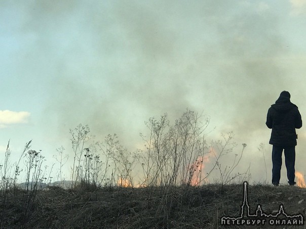 Пожар на Маршала Казакова у проспекта Героев. Подожгли траву. Пожарные на месте.