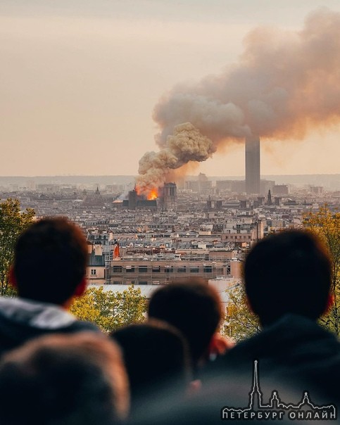 Прямо сейчас в Париже горит собор Парижской богоматери..
