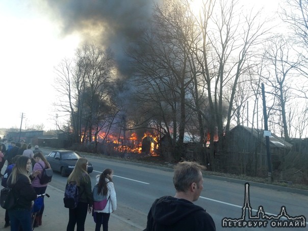 В Парголово горят дачные домики на ул. 1 мая. Спецслужбы уже на месте.