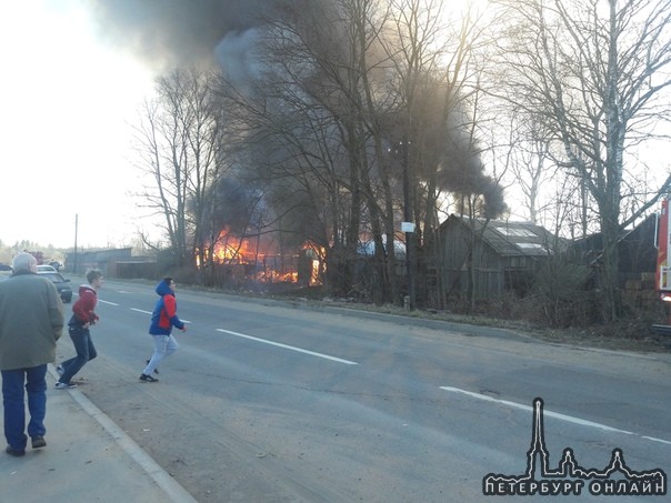 В Парголово горят дачные домики на ул. 1 мая. Спецслужбы уже на месте.