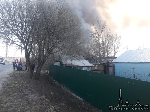 В Парголово горят дачные домики на ул. 1 мая. Спецслужбы уже на месте.